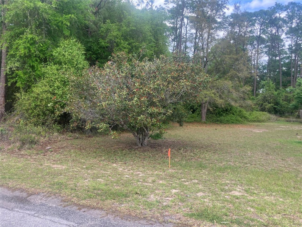 Se 19th Place SE 19th Place , Silver Springs, FL 34488 Photo