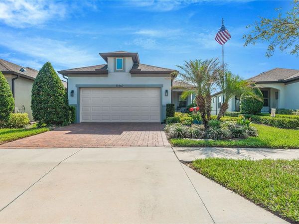19367 COASTAL SHORE TERRACE, LAND O LAKES, FL 34638