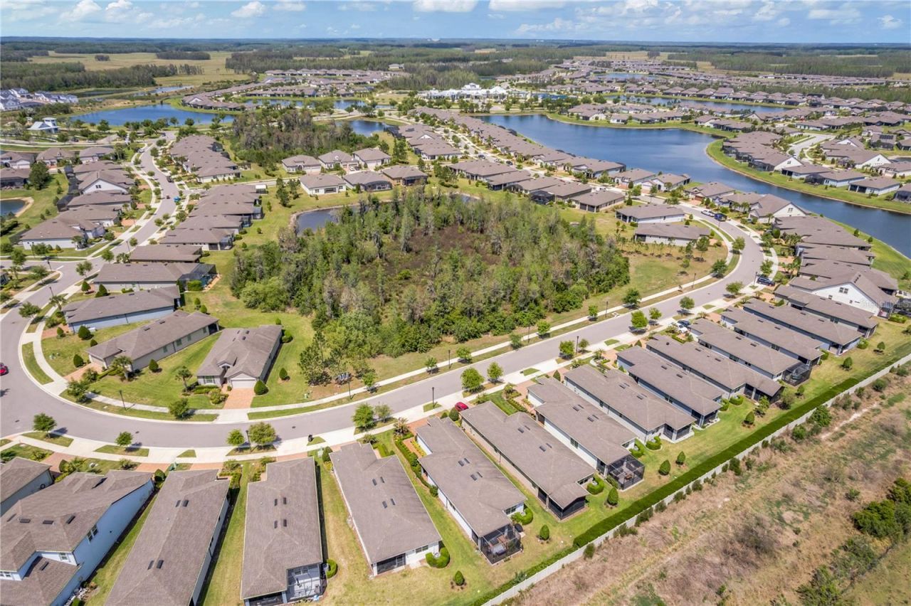 19367 Coastal Shore Terrace, Land O Lakes, FL 34638 Photo