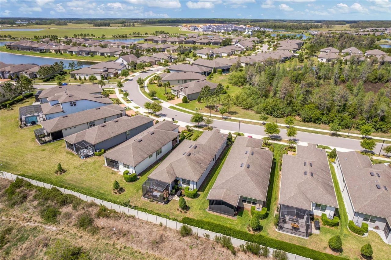 19367 Coastal Shore Terrace, Land O Lakes, FL 34638 Photo