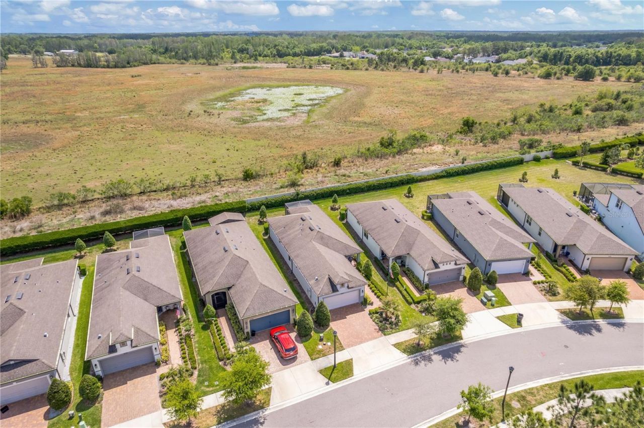 19367 Coastal Shore Terrace, Land O Lakes, FL 34638 Photo