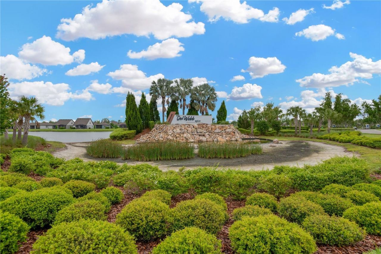 19367 Coastal Shore Terrace, Land O Lakes, FL 34638 Photo