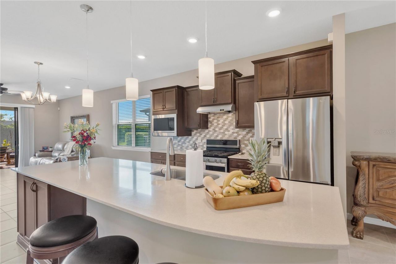 19367 Coastal Shore Terrace, Land O Lakes, FL 34638 Photo