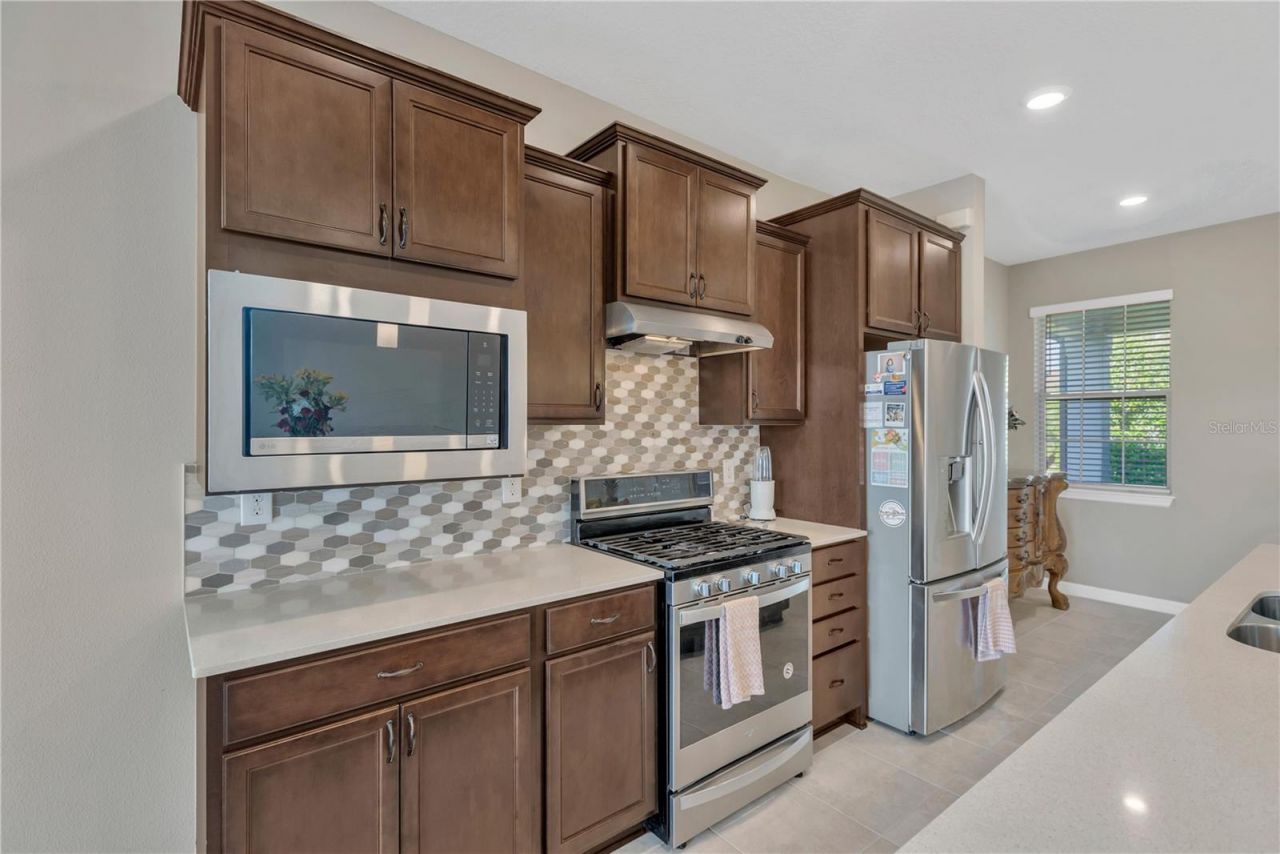 19367 Coastal Shore Terrace, Land O Lakes, FL 34638 Photo