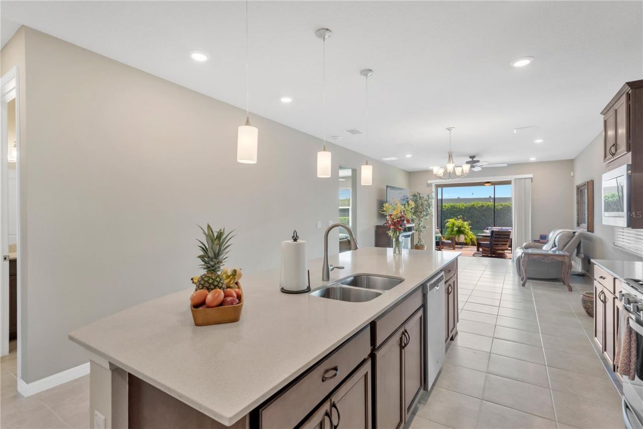 19367 Coastal Shore Terrace, Land O Lakes, FL 34638 Photo