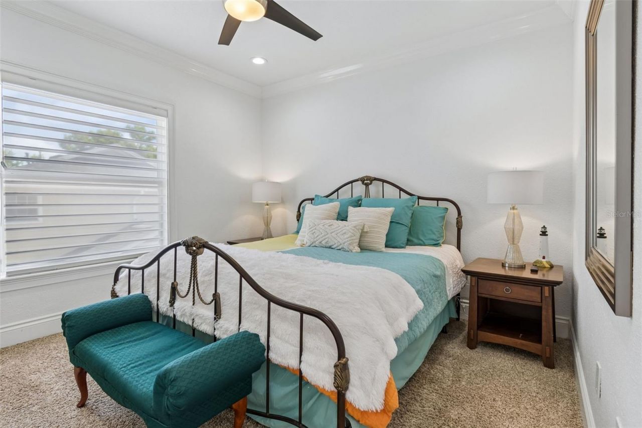 6233 Bayshore Boulevard, Tampa, FL 33611 Photo