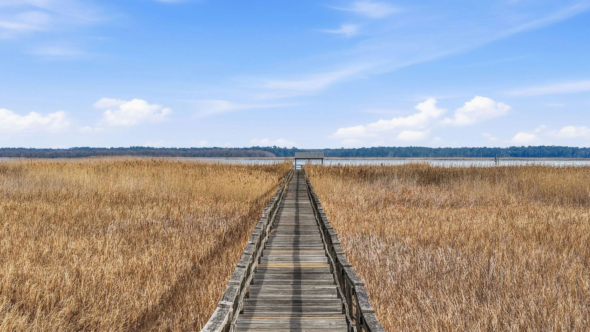 Lot 21 Oak Bay Dr.  Photo 6