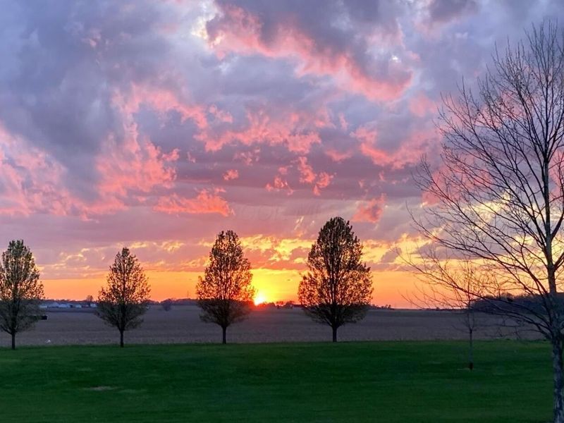 7280 Rader Road NE, Pleasantville, OH 43148 Photo 81