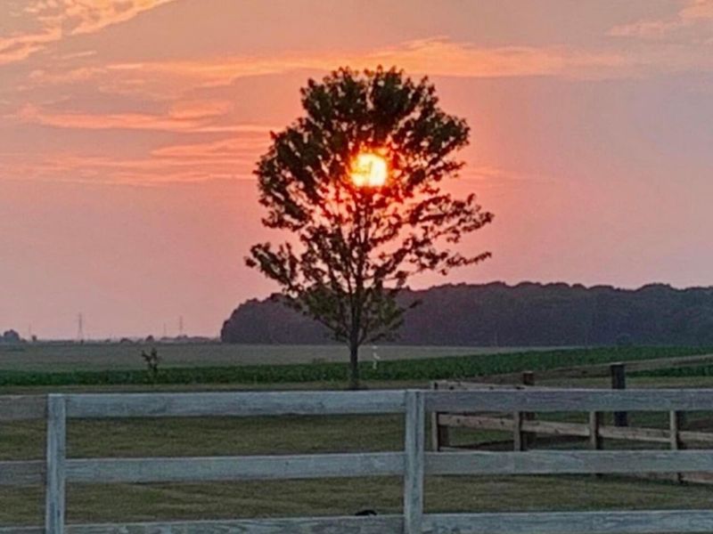 7280 Rader Road NE, Pleasantville, OH 43148 Photo 82