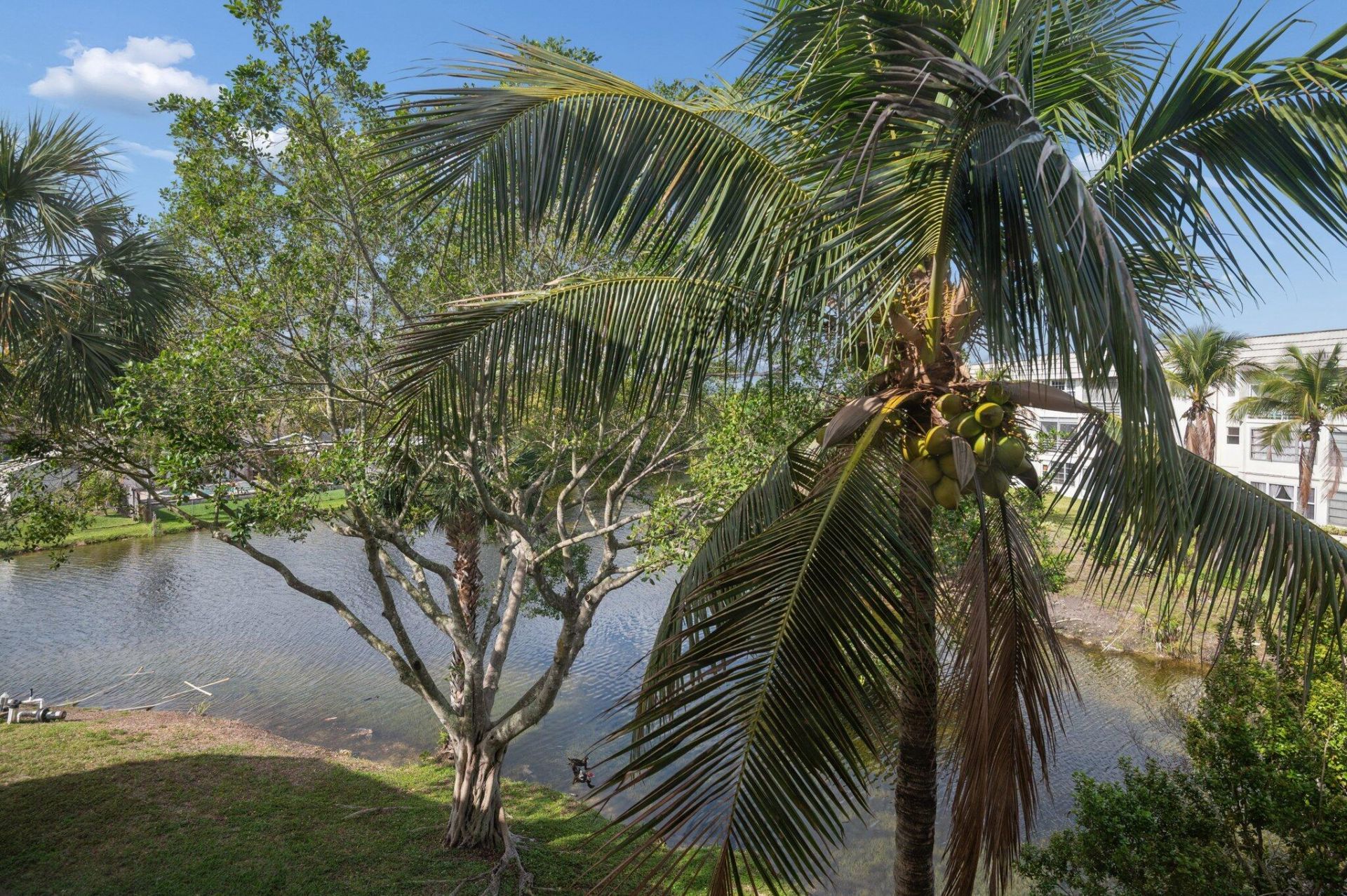 8305 Sunrise Lakes Boulevard, Unit 308, Sunrise, FL 33322 Photo