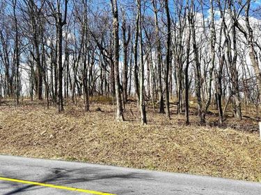 433 LAUREL SPRINGS DR , Unit 1, WINTERGREEN RESORT, VA 22967