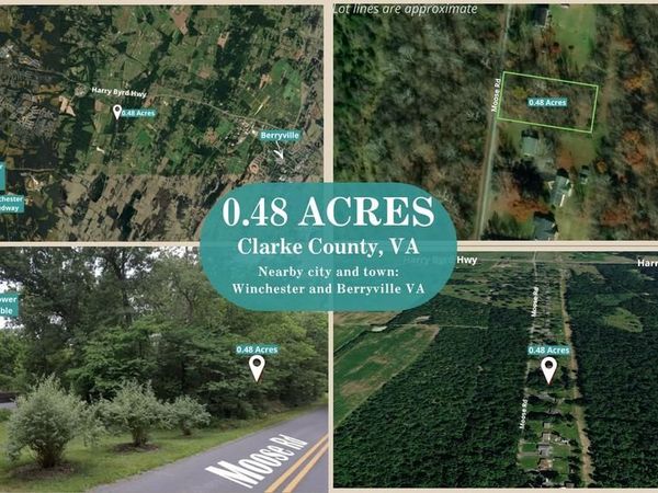 MOOSE ROAD , BERRYVILLE, VA 22611