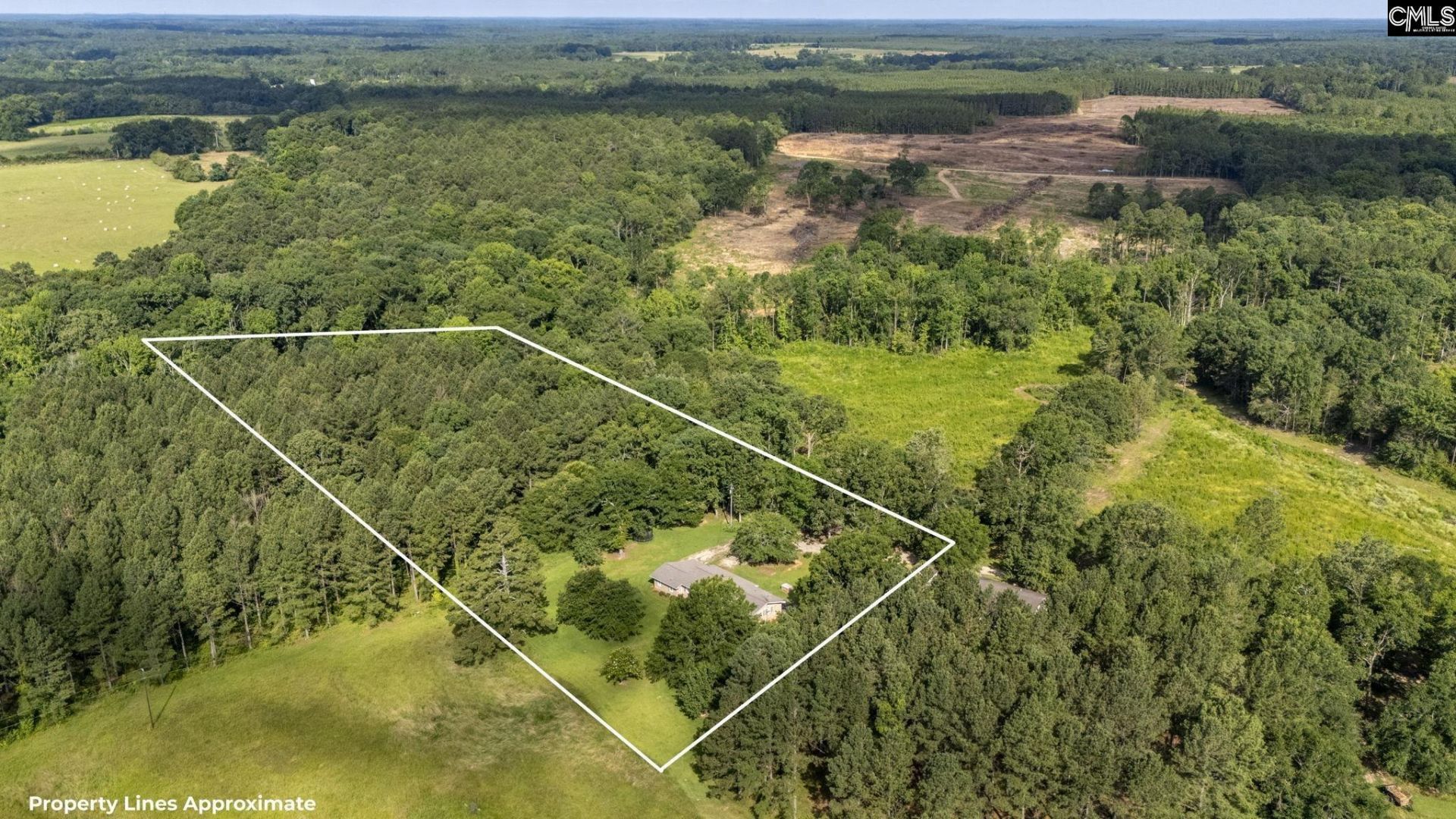 159 Rogers Road  Photo 34