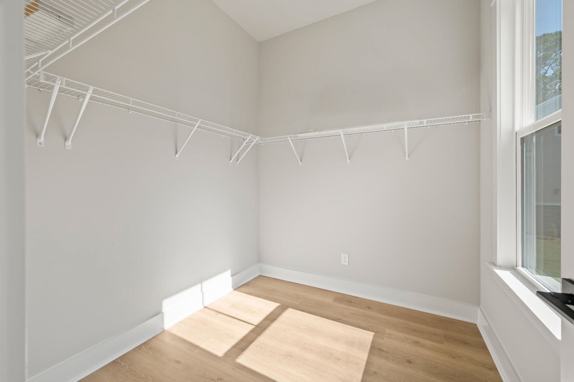 3663 Conch Street Photo 19