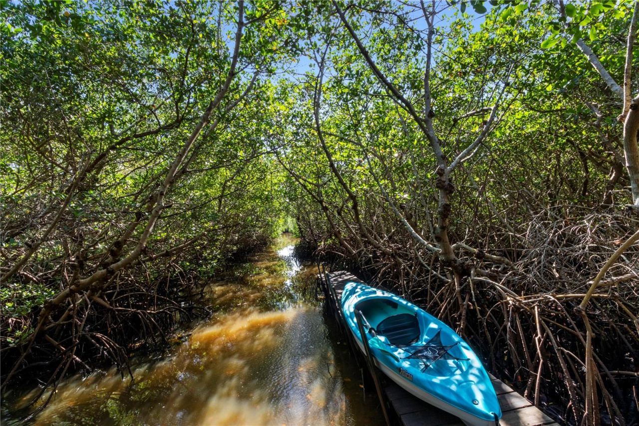 7325 Holly Road, Terra Ceia, FL 34250 Photo