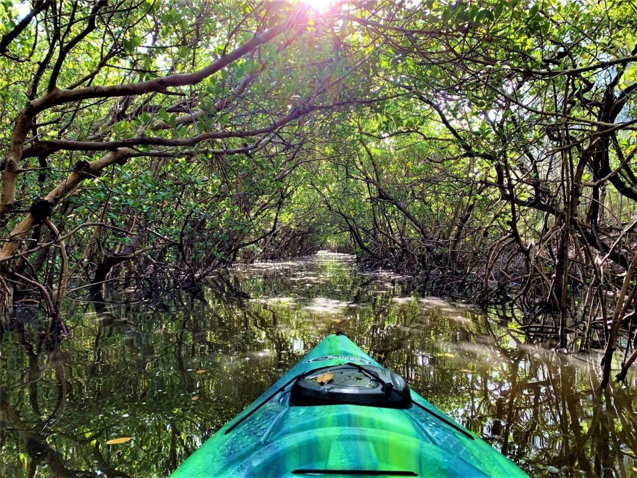 7325 Holly Road, Terra Ceia, FL 34250 Photo