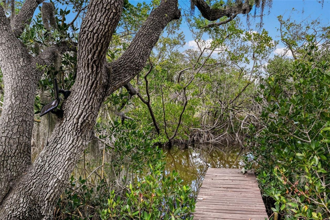 7325 Holly Road, Terra Ceia, FL 34250 Photo