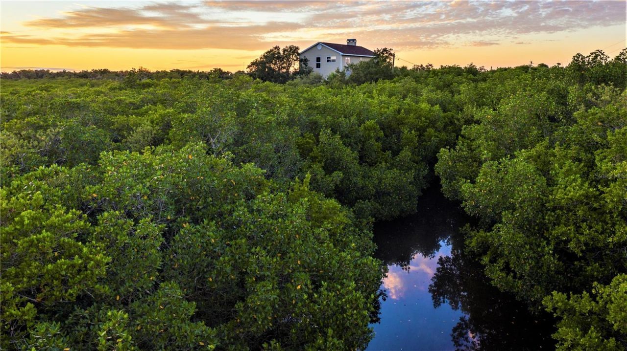 7325 Holly Road, Terra Ceia, FL 34250 Photo