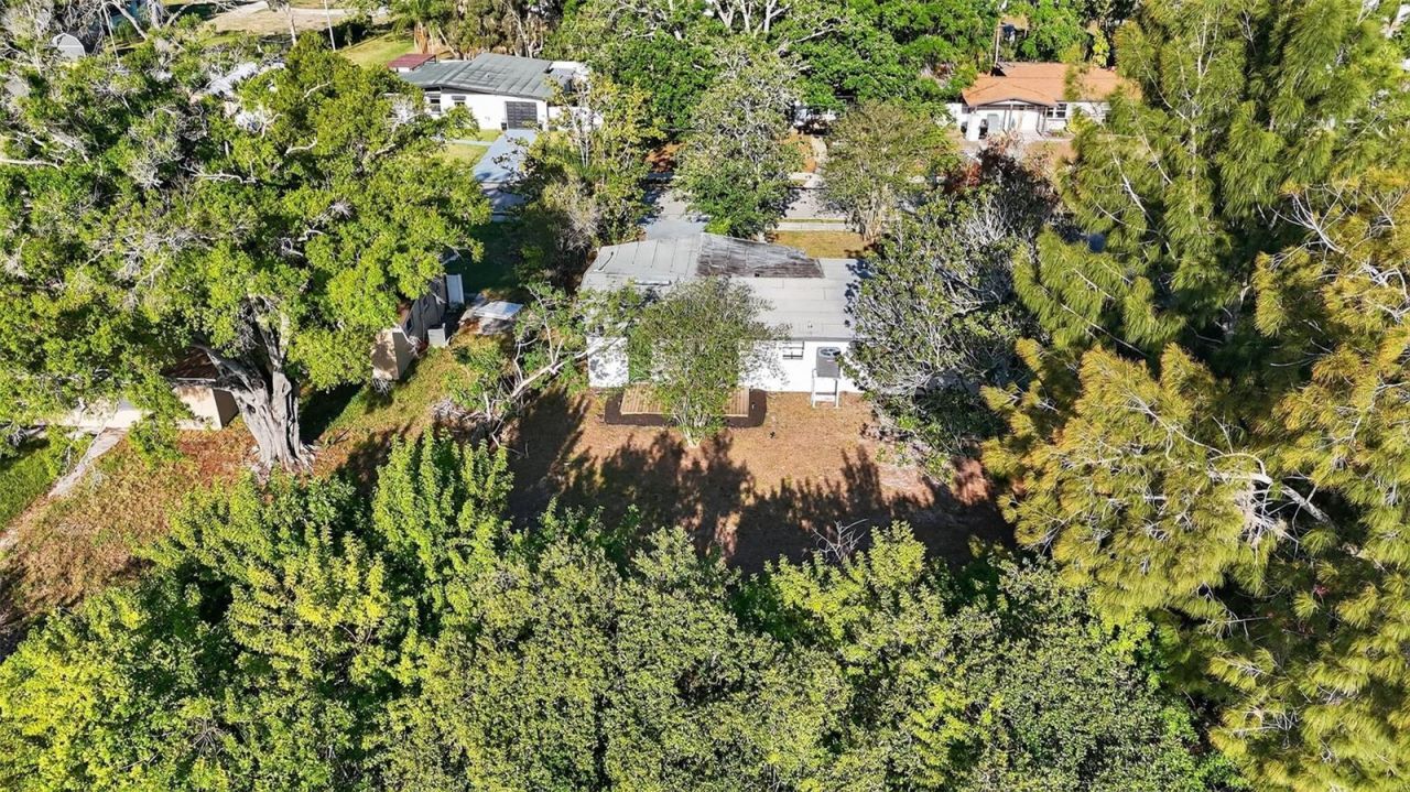 413 Country Club Drive, Oldsmar, FL 34677 Photo