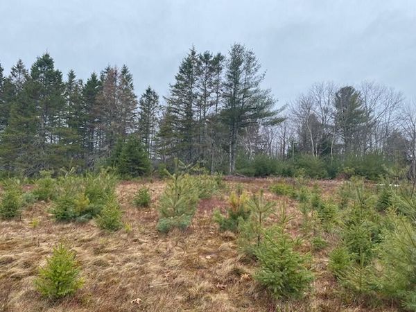 Lot 5 Copeland Hill Road , Holden, ME 04429