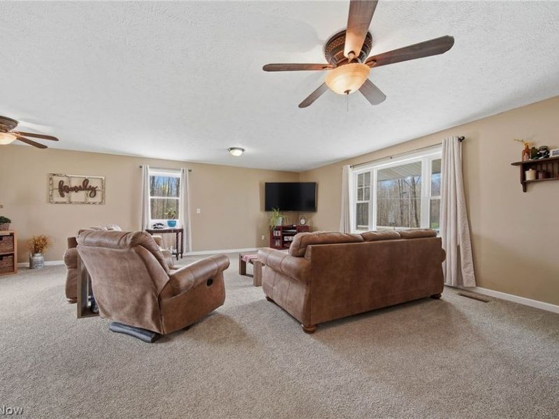 9934 State Route 700, Mantua, OH 44255 Photo 11