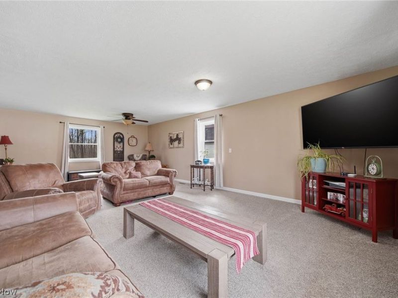 9934 State Route 700, Mantua, OH 44255 Photo 14