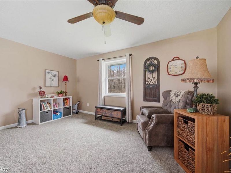 9934 State Route 700, Mantua, OH 44255 Photo 16