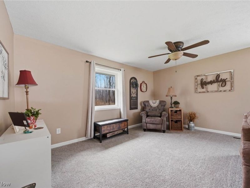 9934 State Route 700, Mantua, OH 44255 Photo 17