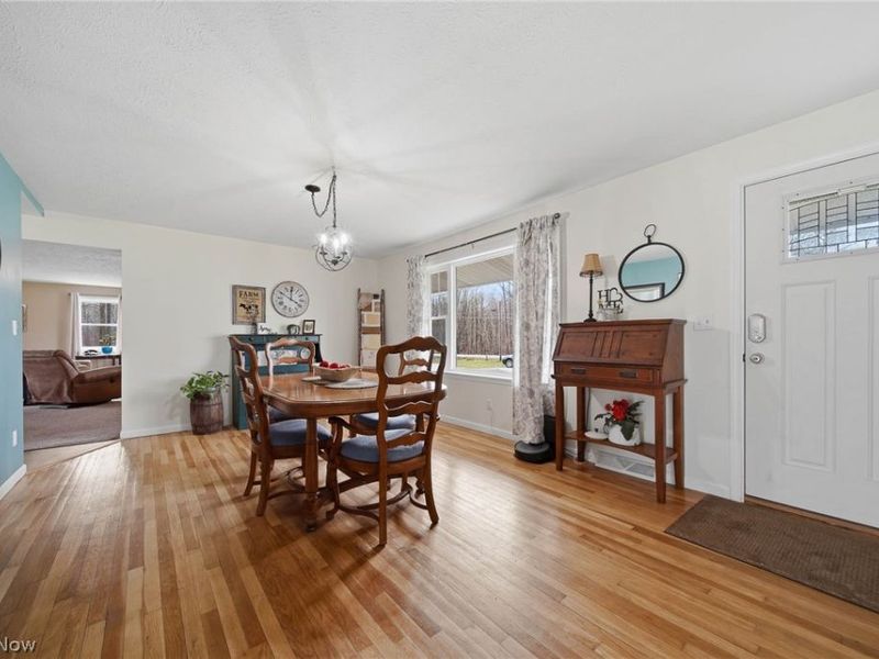 9934 State Route 700, Mantua, OH 44255 Photo 2