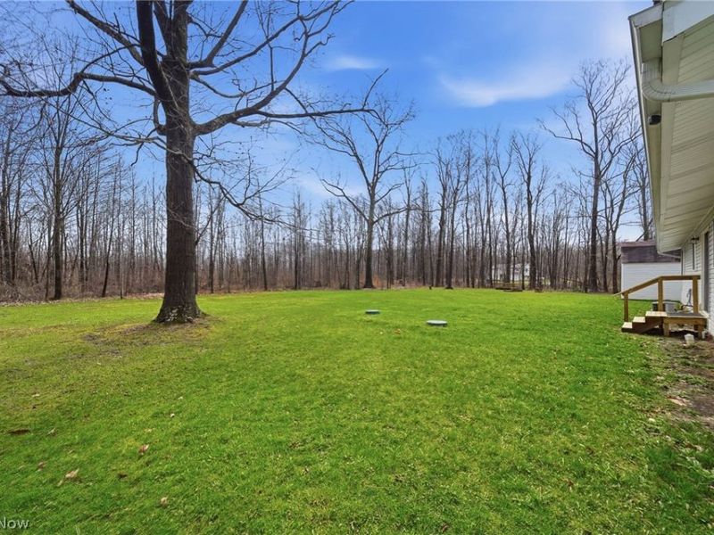 9934 State Route 700, Mantua, OH 44255 Photo 36