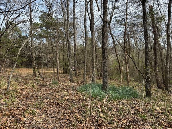 000 NC 5083, Mount Judea, AR 72655