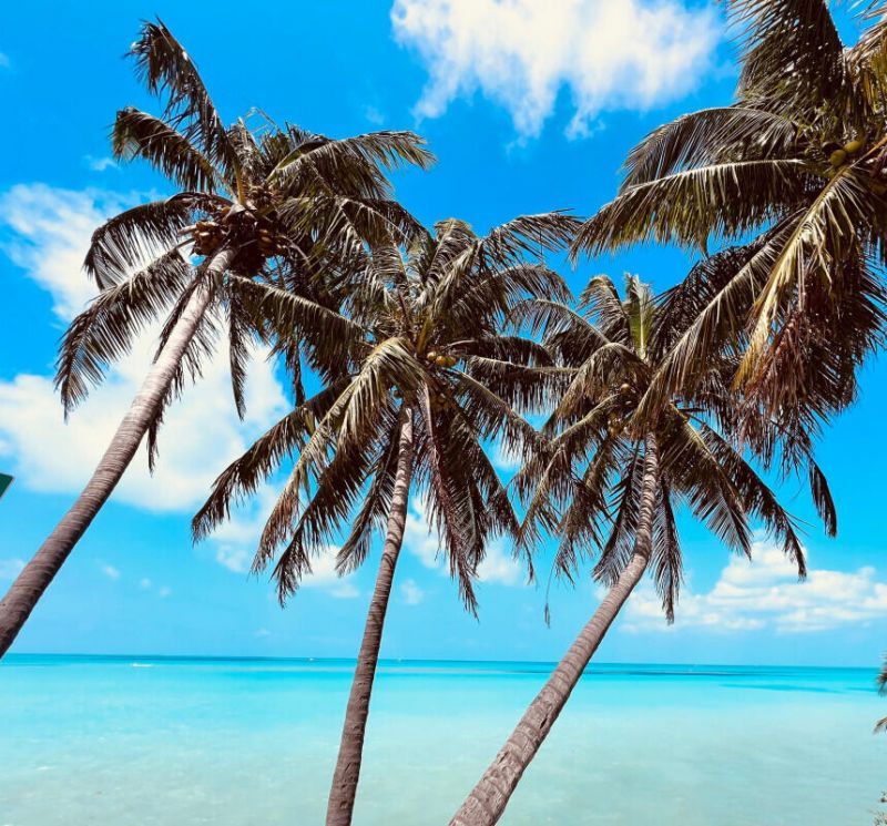 101 11th Street Ocean, Unit 24, Marathon, FL 33050 Photo