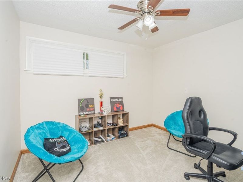 375 Sleepy Hollow Drive, Canfield, OH 44406 Photo 17