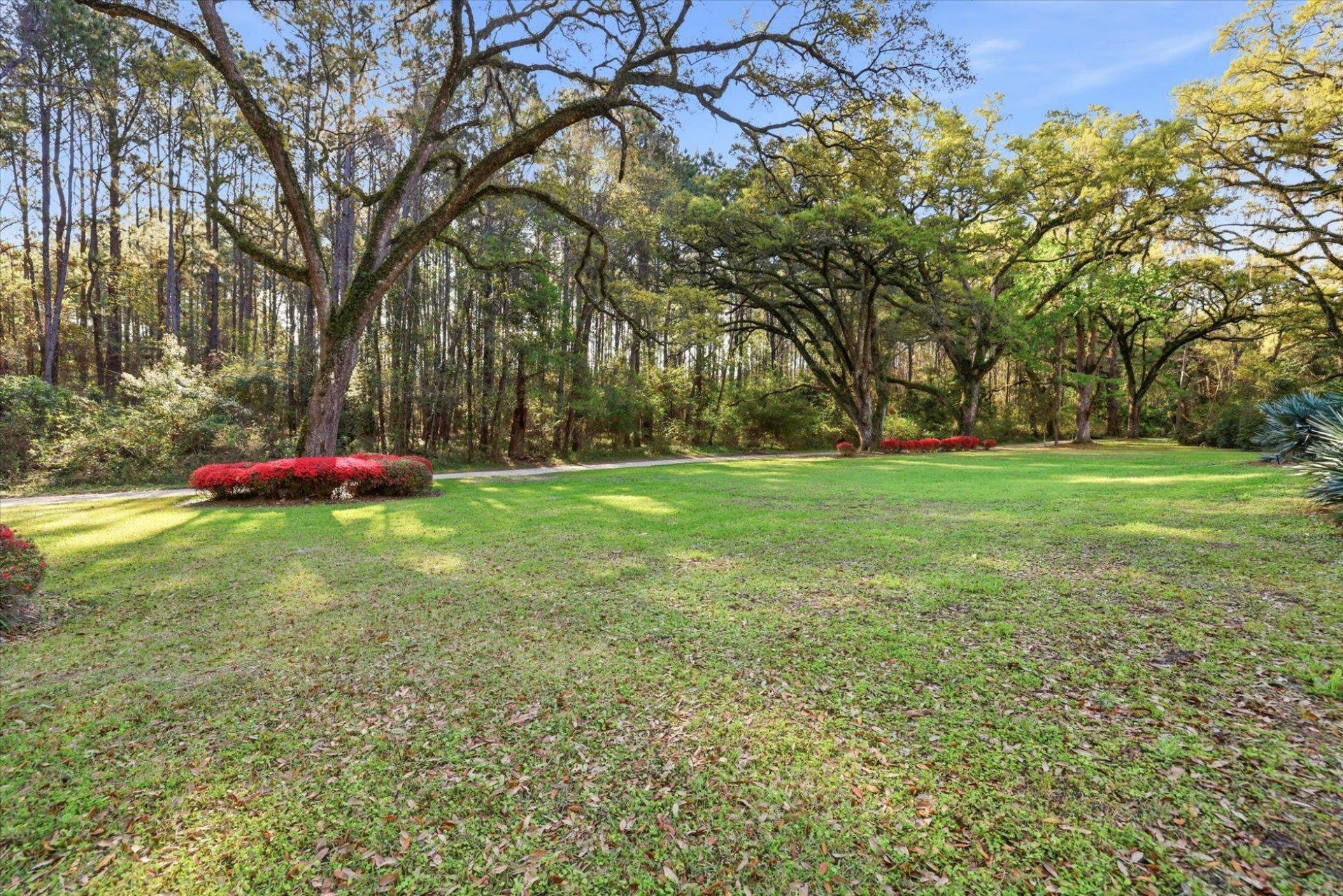 3635 Mossy Creek Lane , Tallahassee, FL 32311 Photo