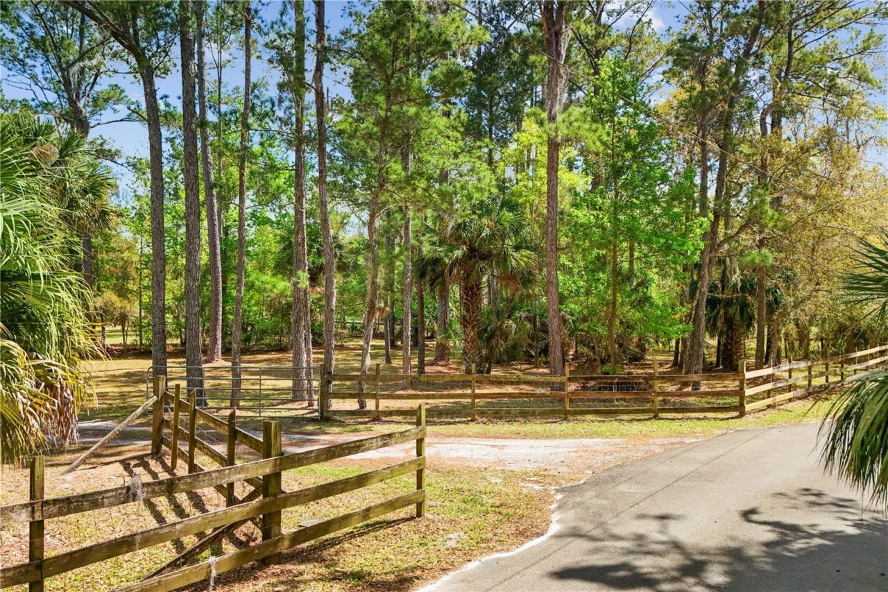 1621 Barr, Oviedo, FL 32765 Photo