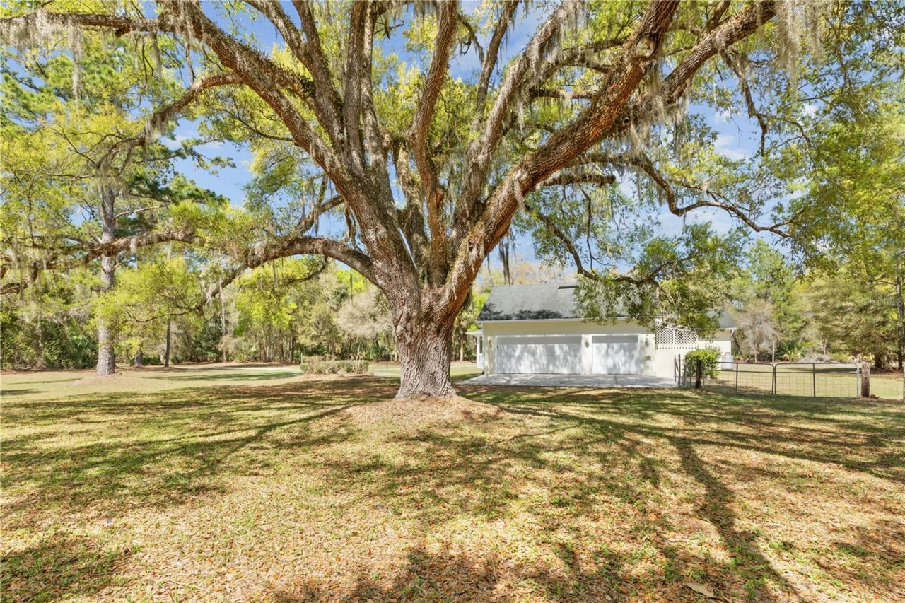 1621 Barr, Oviedo, FL 32765 Photo