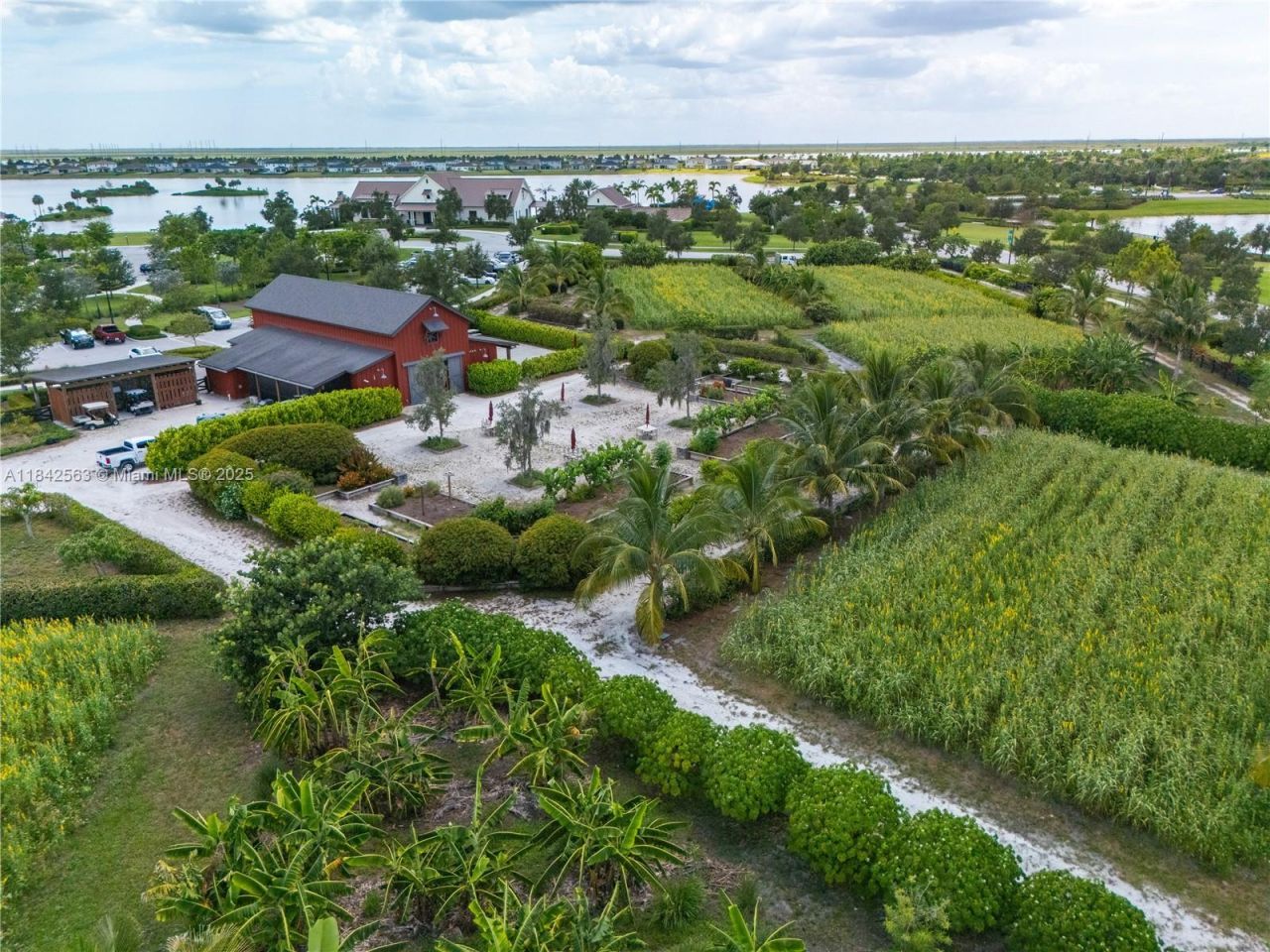 1274 Tangled Orchard Trce , Loxahatchee, FL 33470 Photo