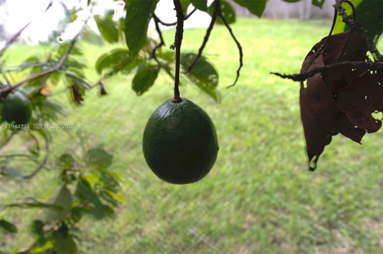 260 NW 133rd St , North Miami, FL 33168 Photo