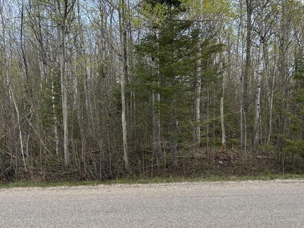 13728 N Mackinaw Highway, Mackinaw City, MI 49701