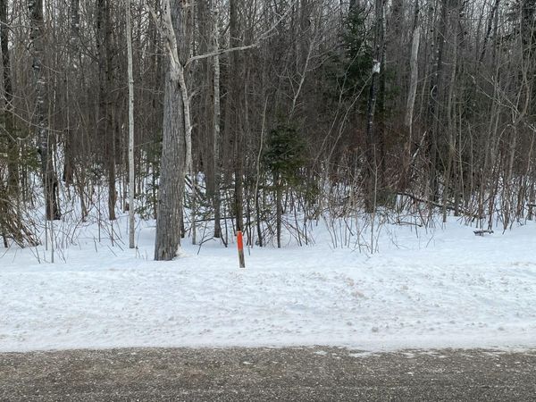 13764 N Mackinaw Highway, Mackinaw City, MI 49701