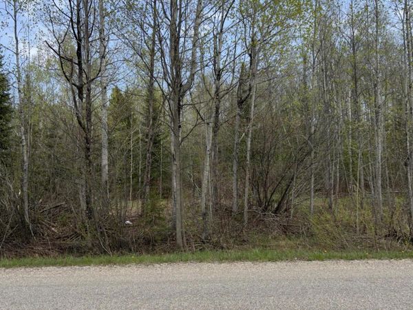 13764 N Mackinaw Highway, Mackinaw City, MI 49701