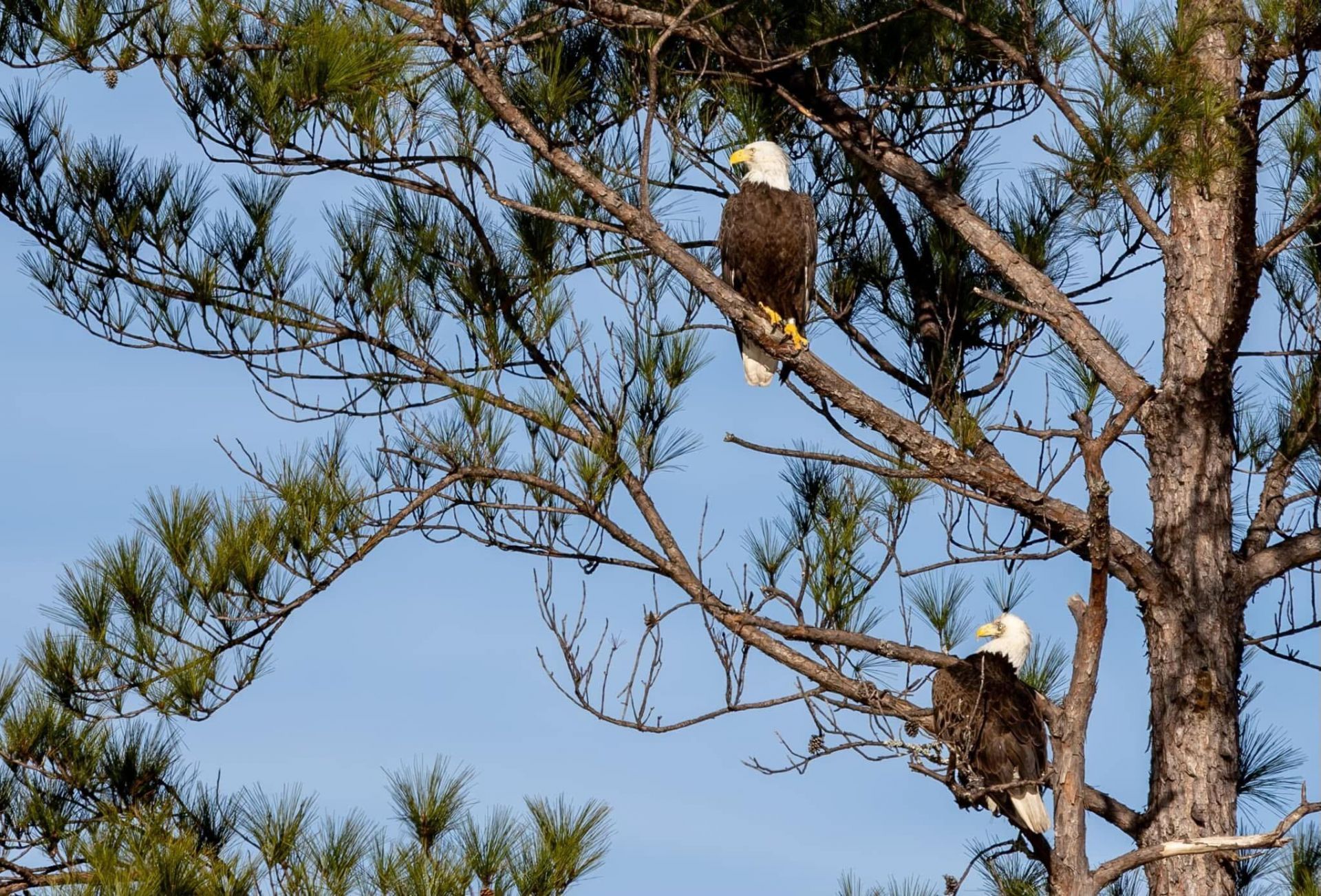 492 Rowley Lane Photo 53