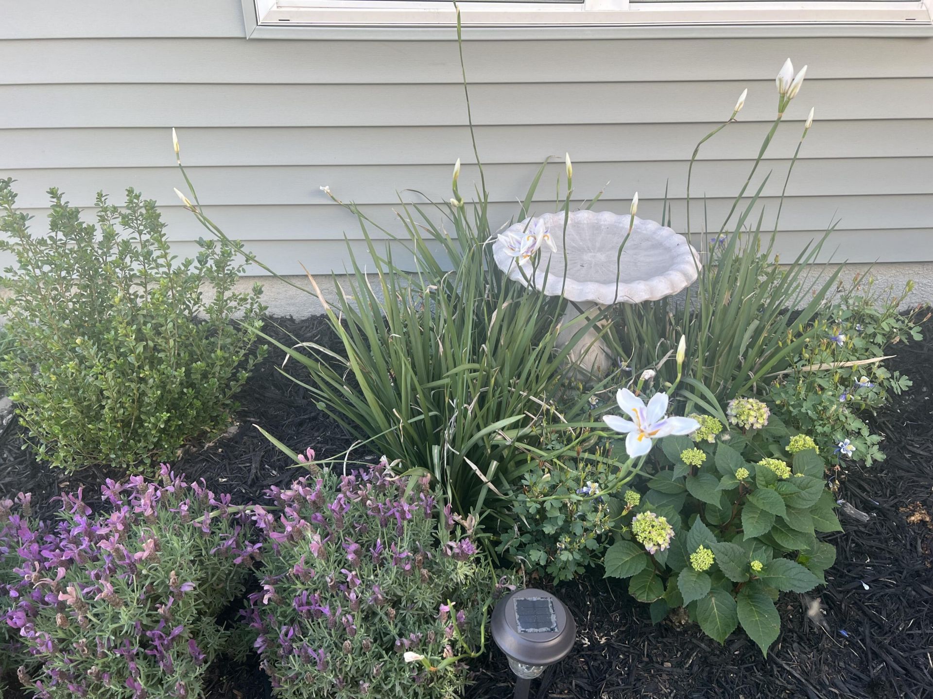 492 Rowley Lane Photo 58