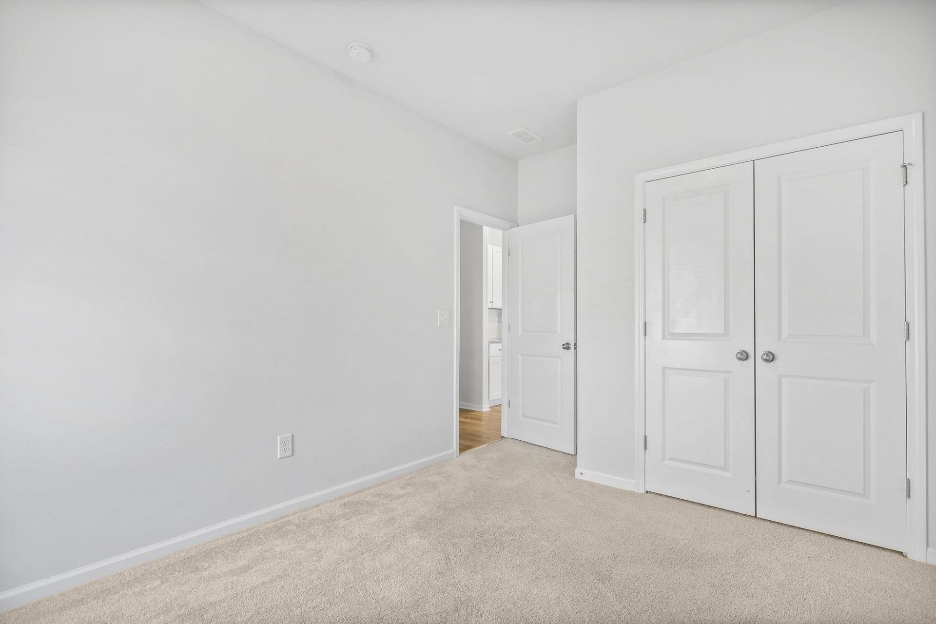 518 Carrick Loop Photo 18