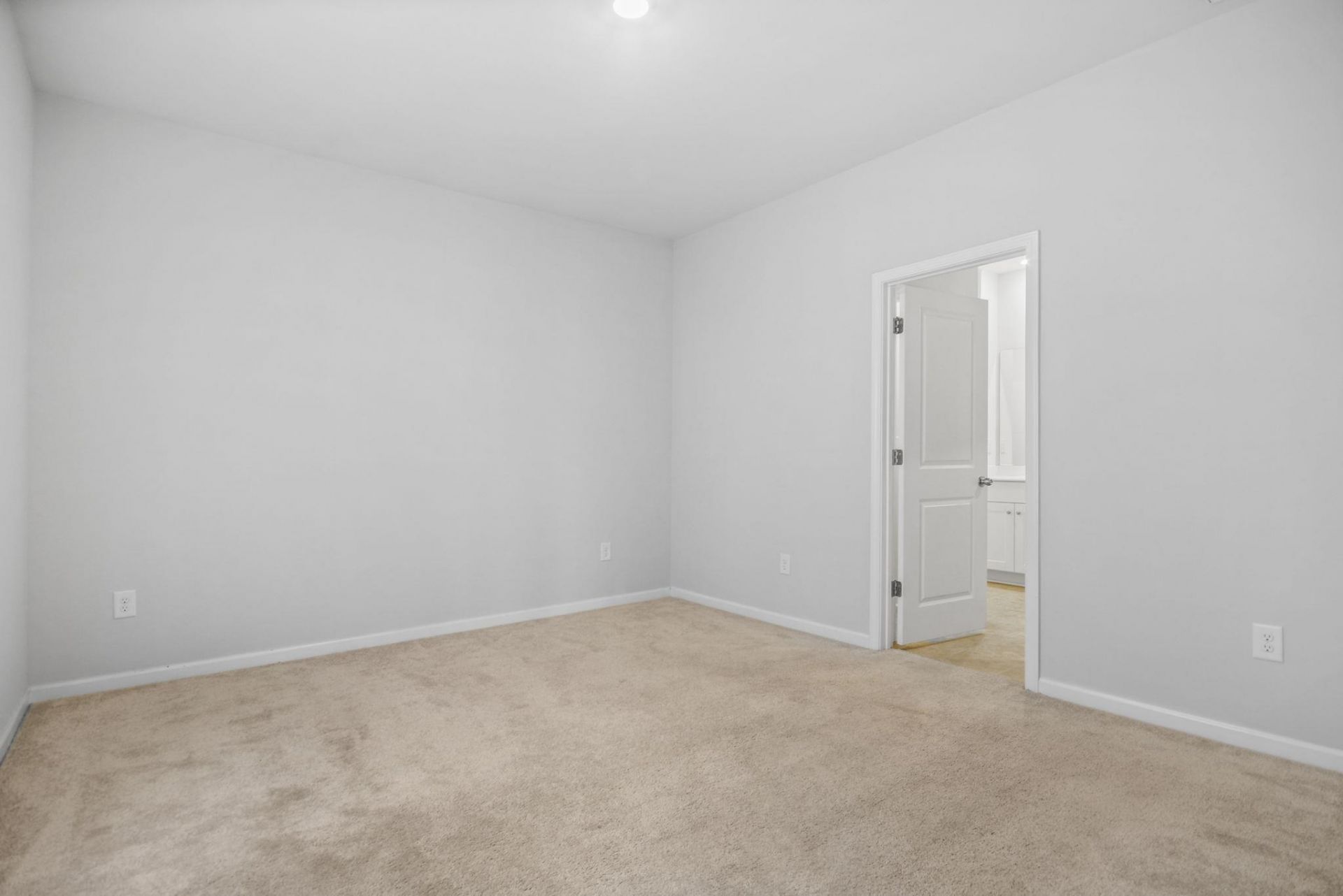 518 Carrick Loop Photo 20