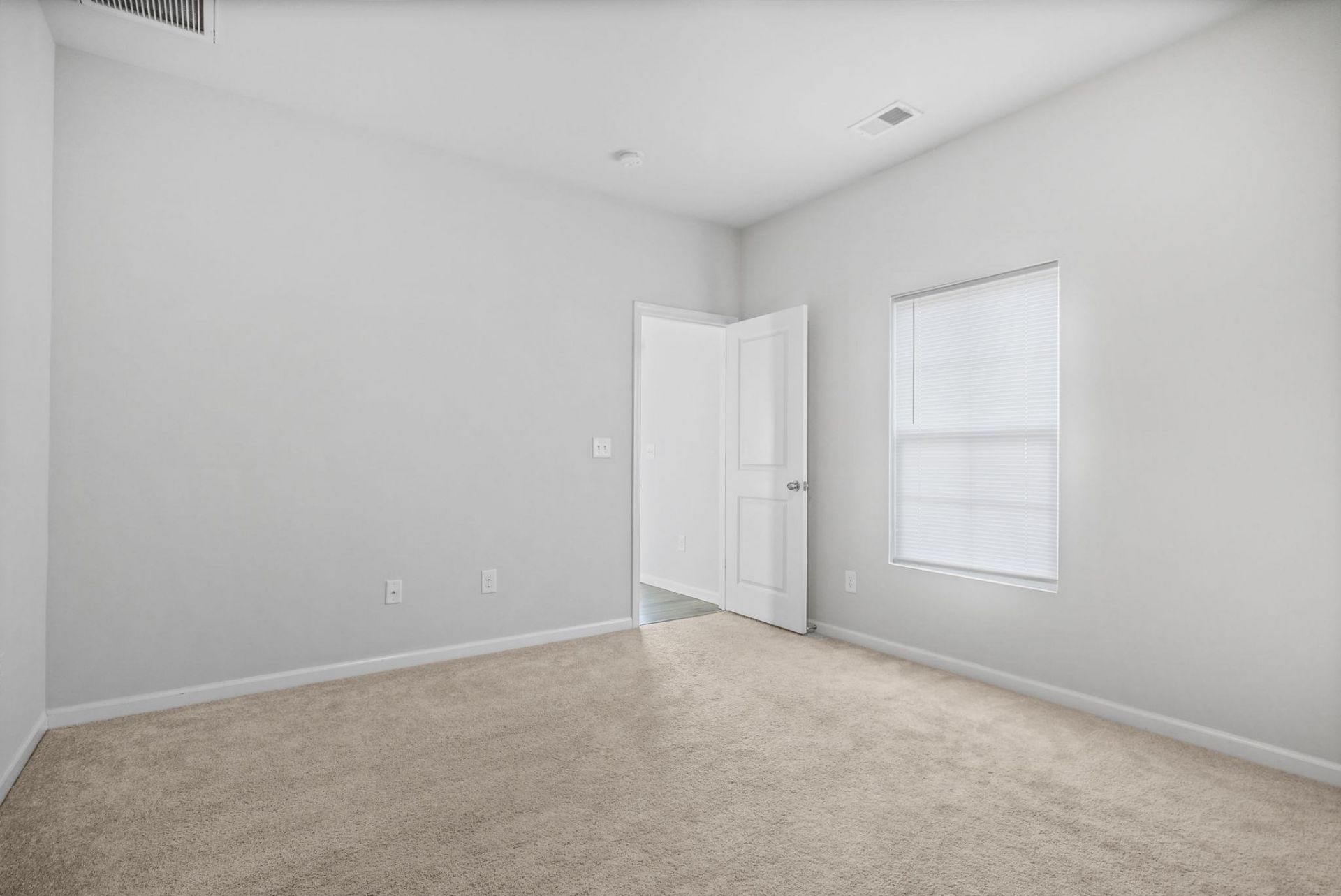 518 Carrick Loop Photo 21