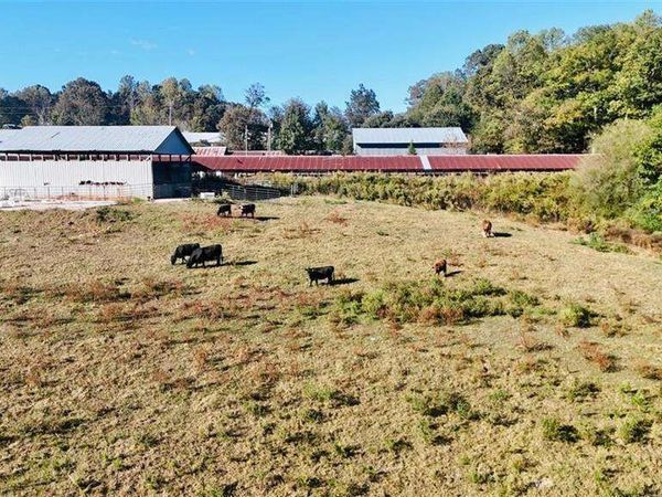 0 Porter Springs Road, Dahlonega, GA 30533