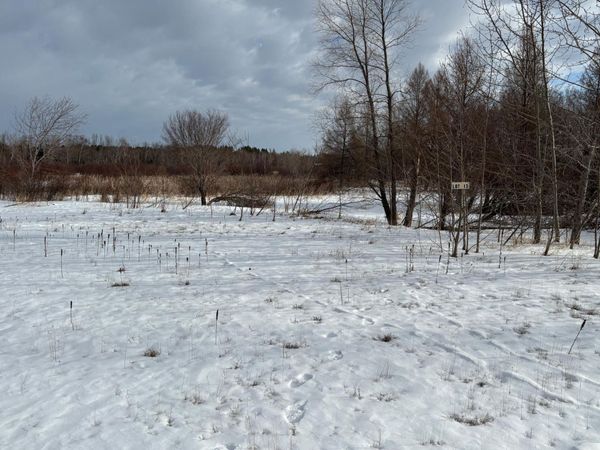 lot 13 Irvine Avenue NW, Bemidji, MN 56601