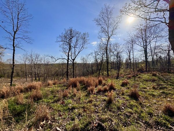 Antioch, Cave City, AR 72521