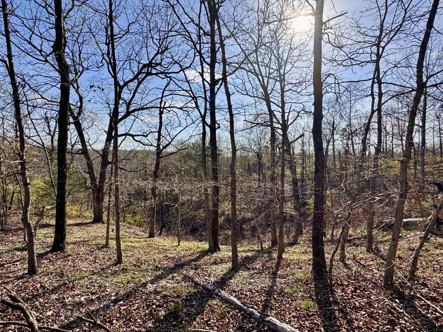 Property Image 18